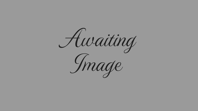 Awaiting Image